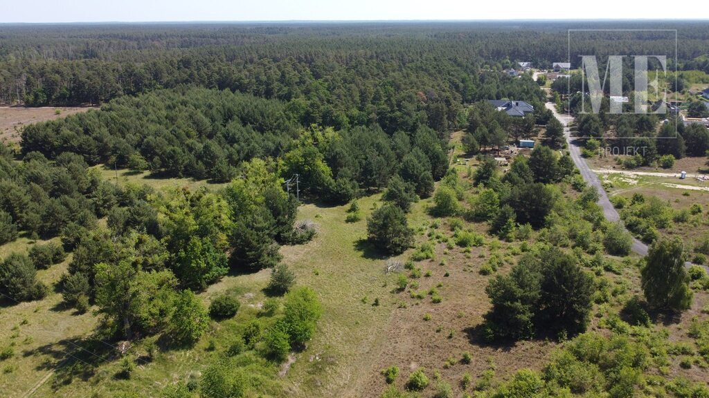 Działka pod budowę Rurzyca - las, nowa zabudowa (9)