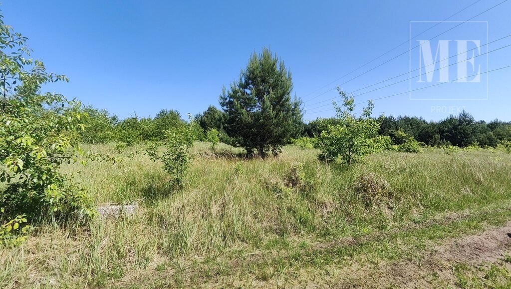 Działka pod budowę Rurzyca - las, nowa zabudowa (11)