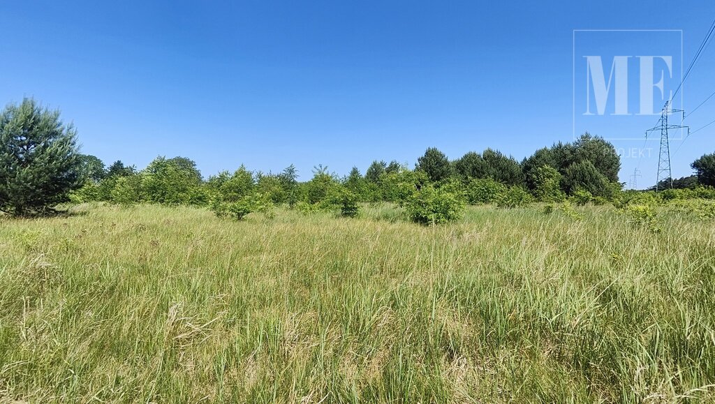 Działka pod budowę Rurzyca - las, nowa zabudowa (13)