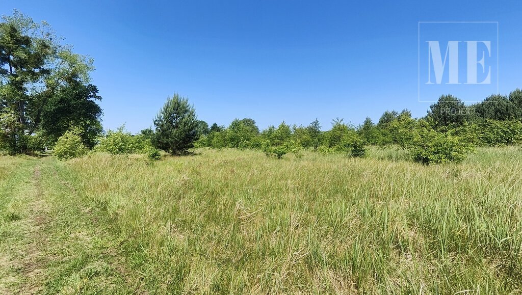 Działka pod budowę Rurzyca - las, nowa zabudowa (14)