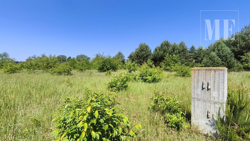 Działka pod budowę Rurzyca - las, nowa zabudowa (15)
