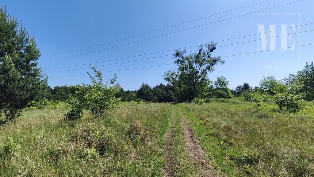 Działka pod budowę Rurzyca - las, nowa zabudowa (16)