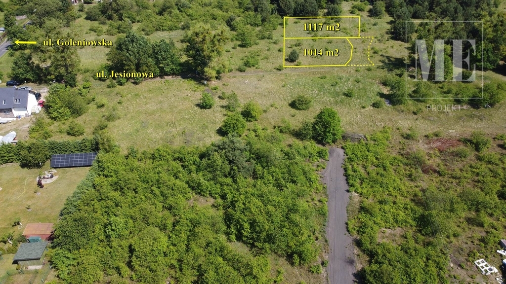 Działka pod budowę Rurzyca - las, nowa zabudowa (7)