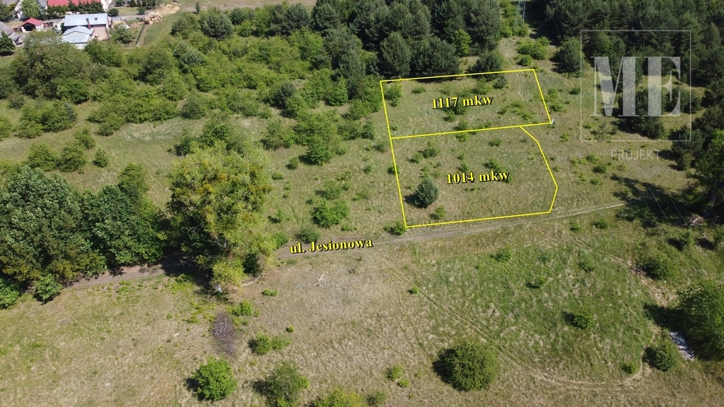 Działka pod budowę Rurzyca - las, nowa zabudowa (6)