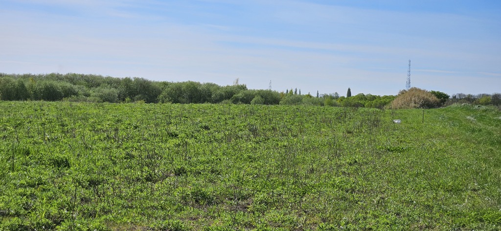 Twoje Miejsce w Skolwinie (2)