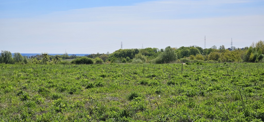 Twoje Miejsce w Skolwinie (1)