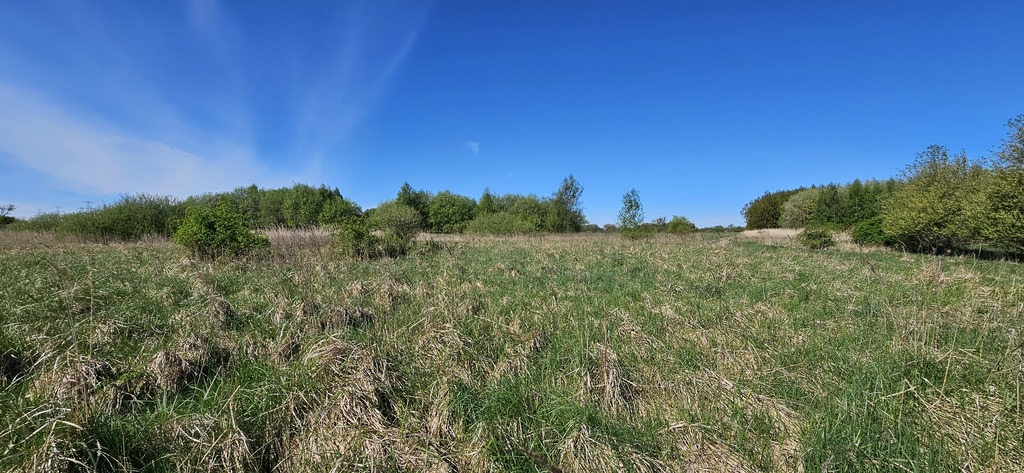 Twoje Miejsce w Skolwinie (3)