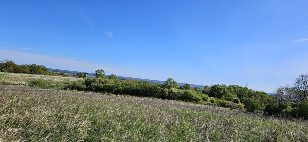 Twoje Miejsce w Skolwinie (4)