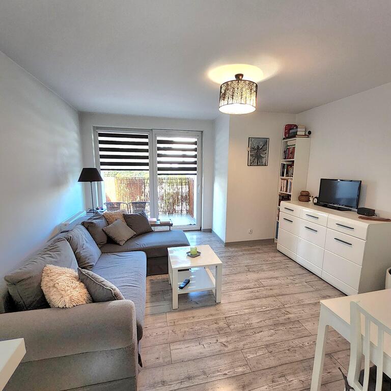 Przytulne 2 pokoje na parterze niskiego bloku. (1)