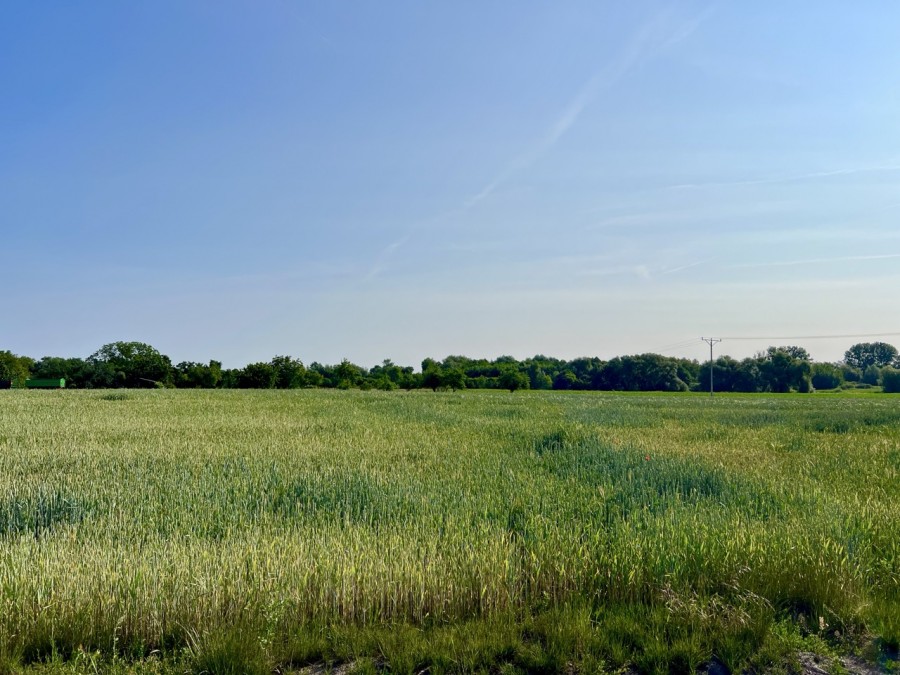 DZIAŁKA  Z WIDOKIEM NA POLA (3)