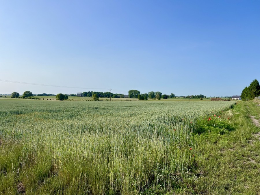 DZIAŁKA  Z WIDOKIEM NA POLA (4)