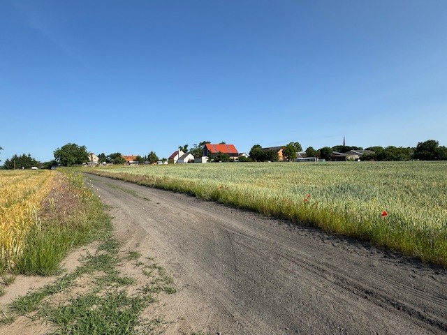 DZIAŁKA  Z WIDOKIEM NA POLA (2)