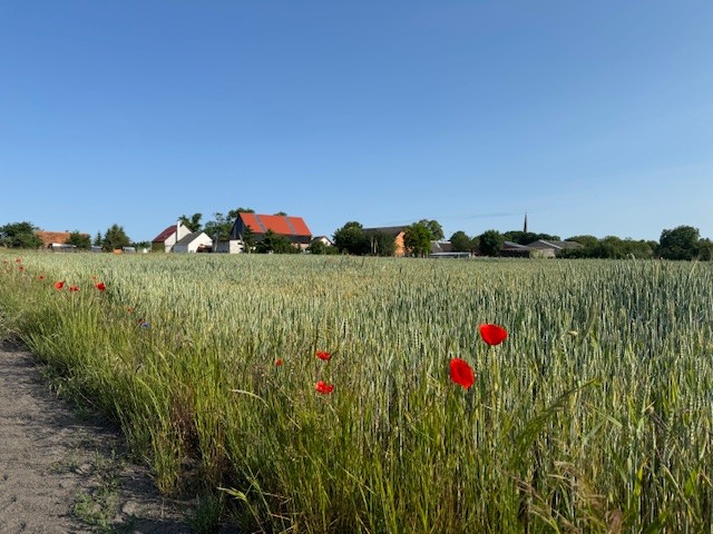 DZIAŁKA  Z WIDOKIEM NA POLA (1)