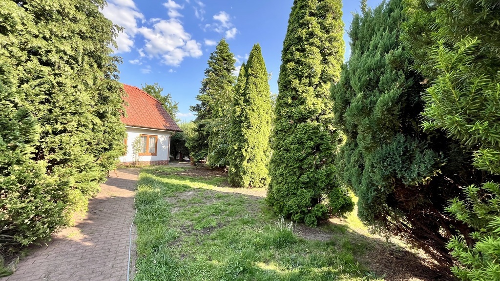 Przestronny Dom z Potencjałem na Prawobrzeżu (23)