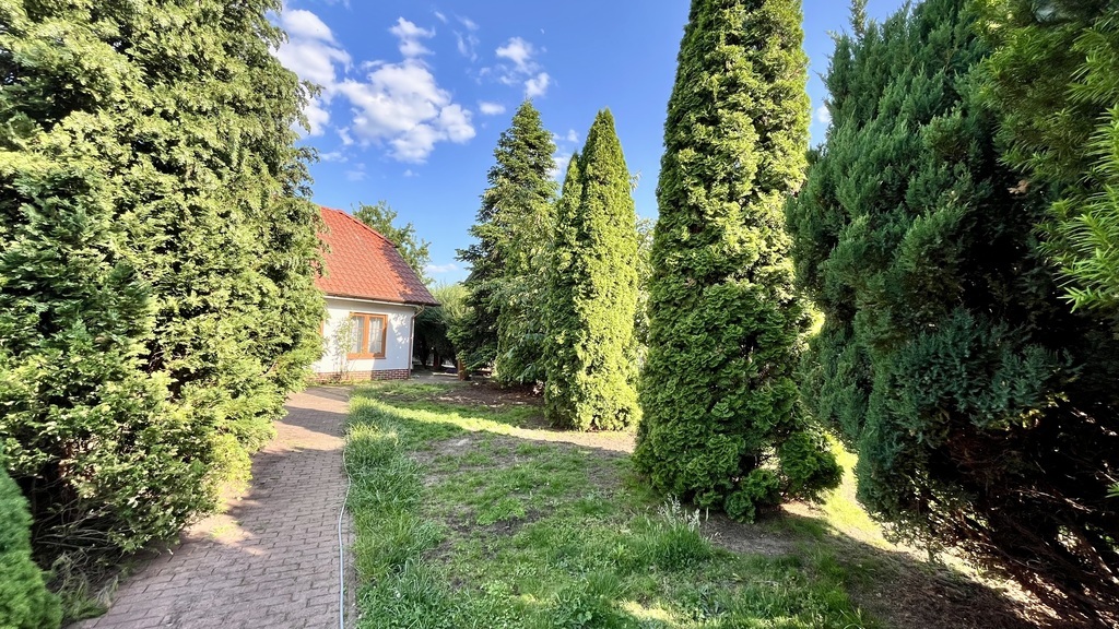 Przestronny Dom z Potencjałem na Prawobrzeżu (24)