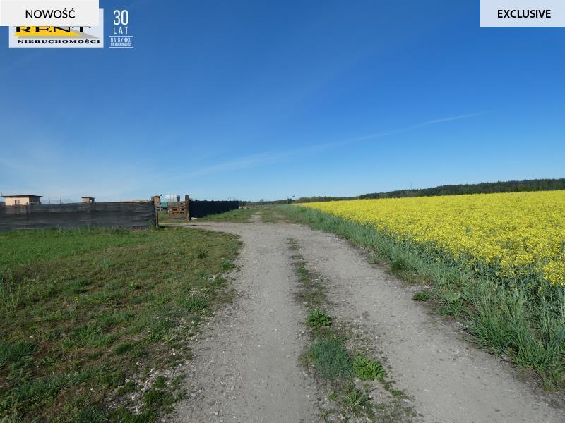 Działka z warunkami zabudowy  10 km od Goleniowa! (5)