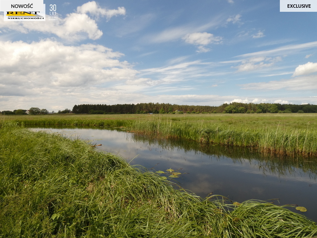 Działka Stepnica -. 8600m z warunkami zabudowy (1)