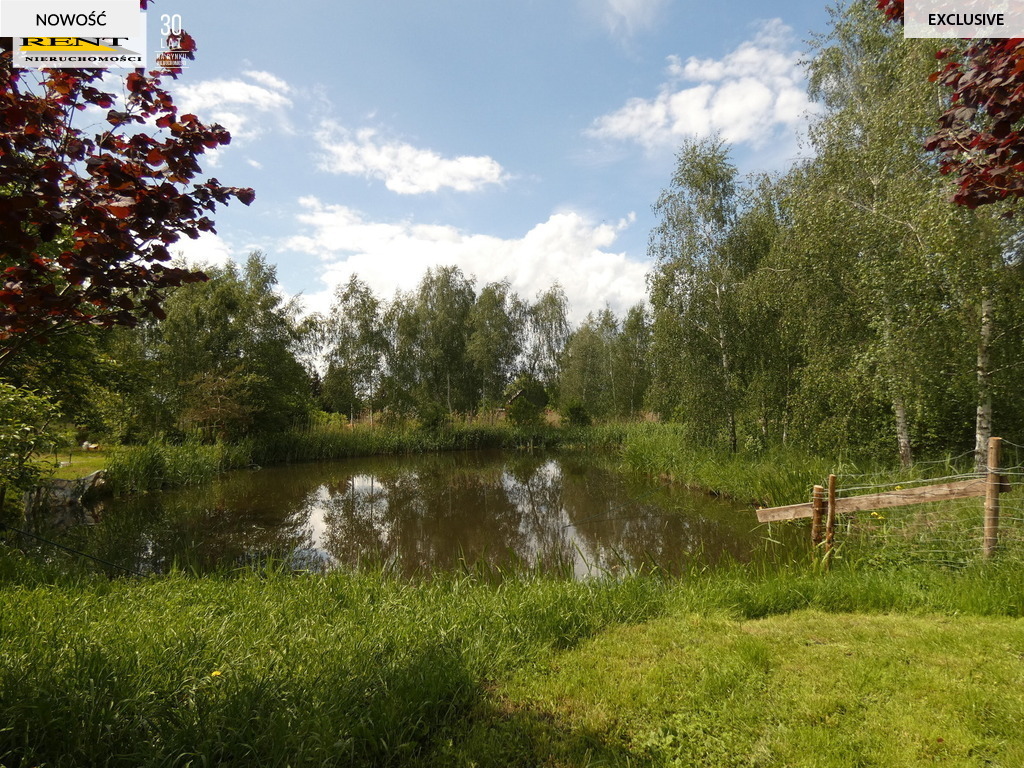 Działka Stepnica -. 8600m z warunkami zabudowy (2)