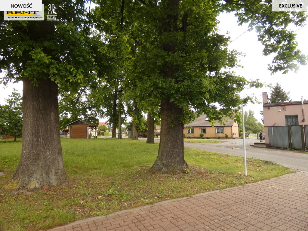 Działka Stepnica -. 8600m z warunkami zabudowy (3)