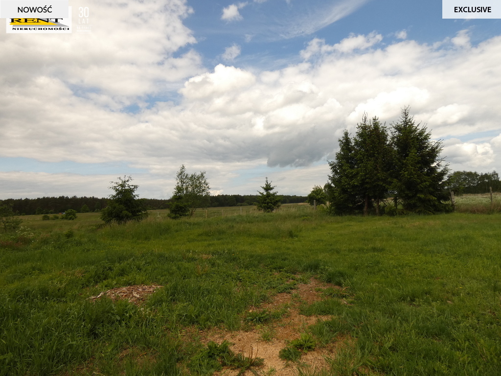 Działka Stepnica -. 8600m z warunkami zabudowy (4)