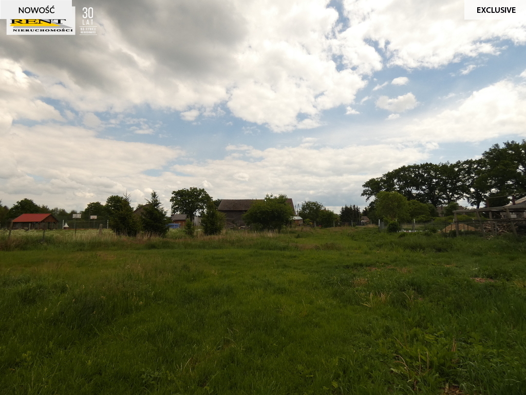 Działka Stepnica -. 8600m z warunkami zabudowy (5)