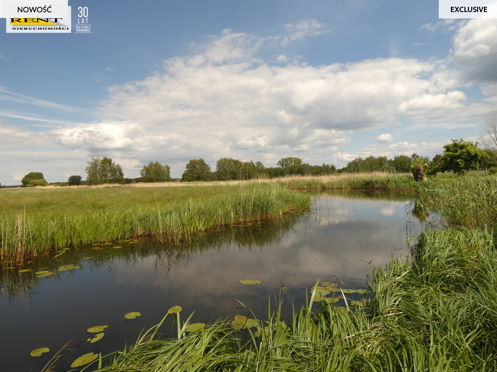 Działka Stepnica -. 8600m z warunkami zabudowy (8)