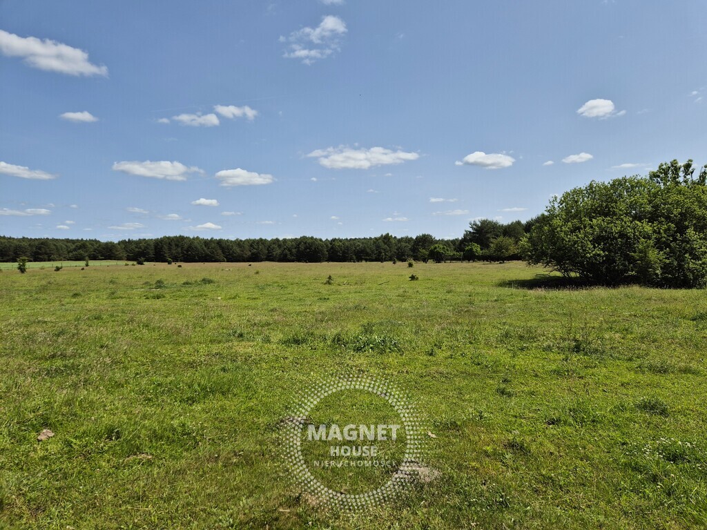 Działki blisko jeziora w Ostrowcu 30km od Gorzowa (13)