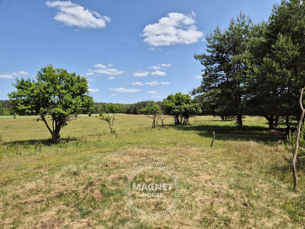 Działki blisko jeziora w Ostrowcu 30km od Gorzowa (14)