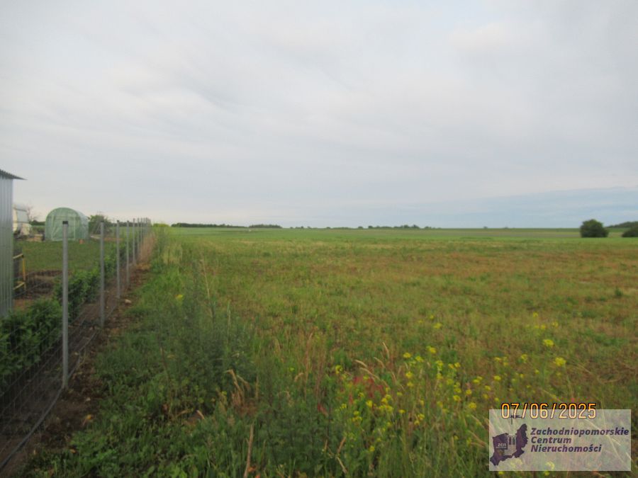 działka w Bielkowie (2)