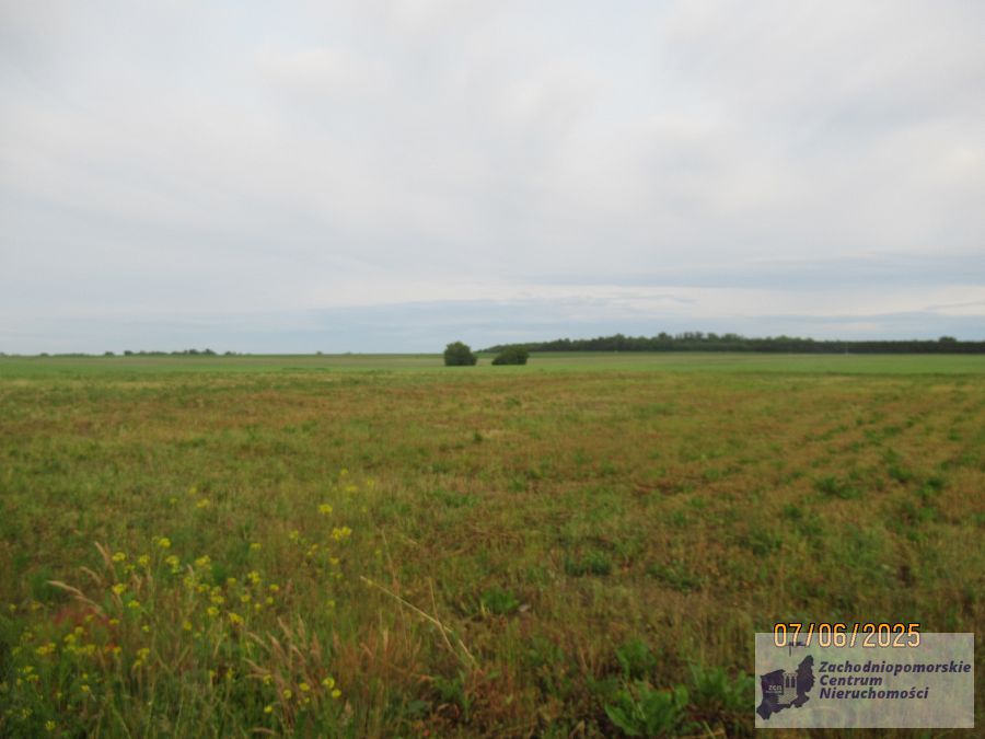 działka w Bielkowie (3)