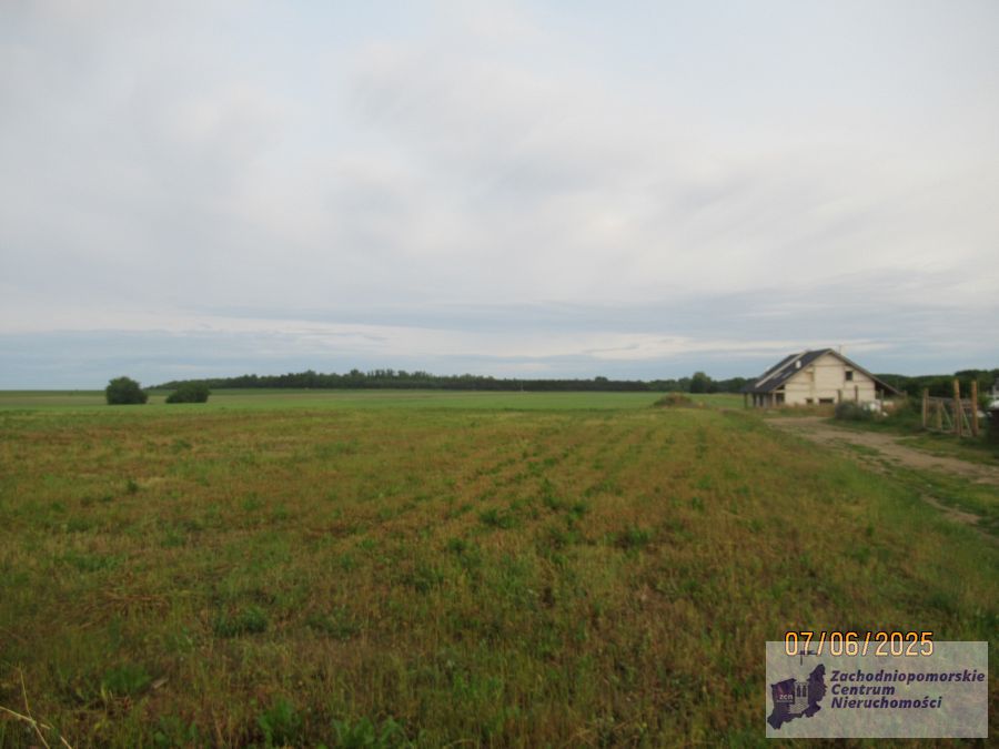 działka w Bielkowie (4)