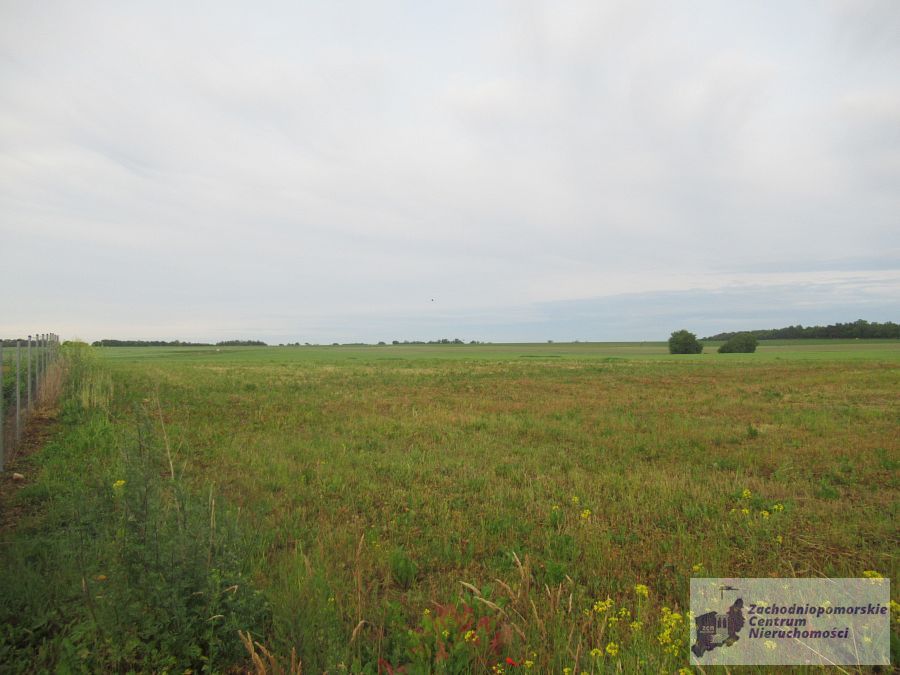 działka w Bielkowie (5)