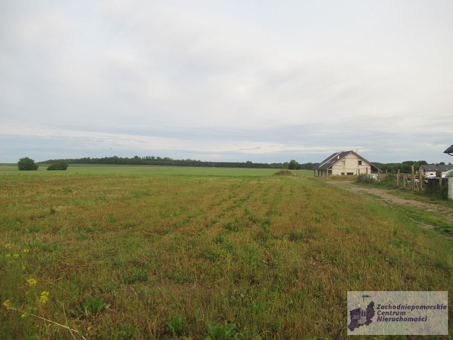 działka w Bielkowie (6)