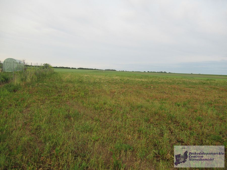 działka w Bielkowie (8)