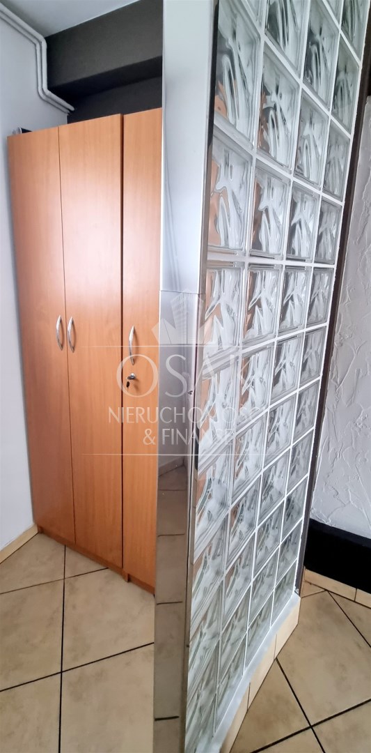 Do wynajęcia lokal użytkowy -Szczecin  (8)