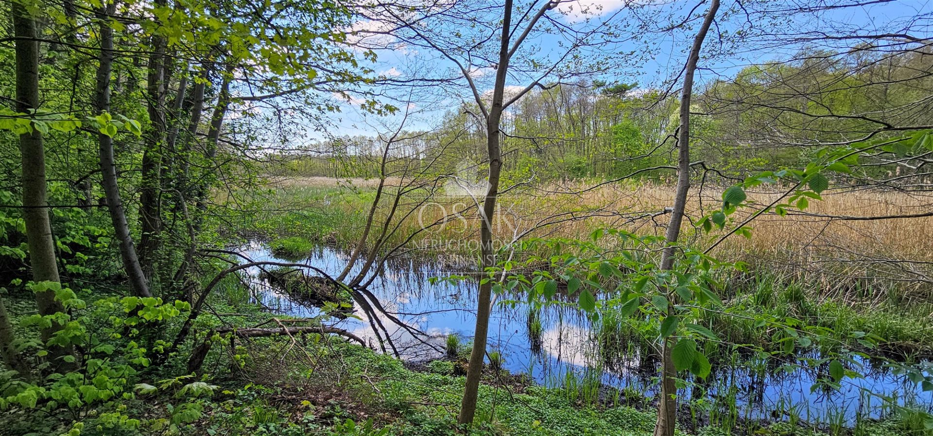 Na sprzedaż pięknie położona działka - Żerzyno  (3)