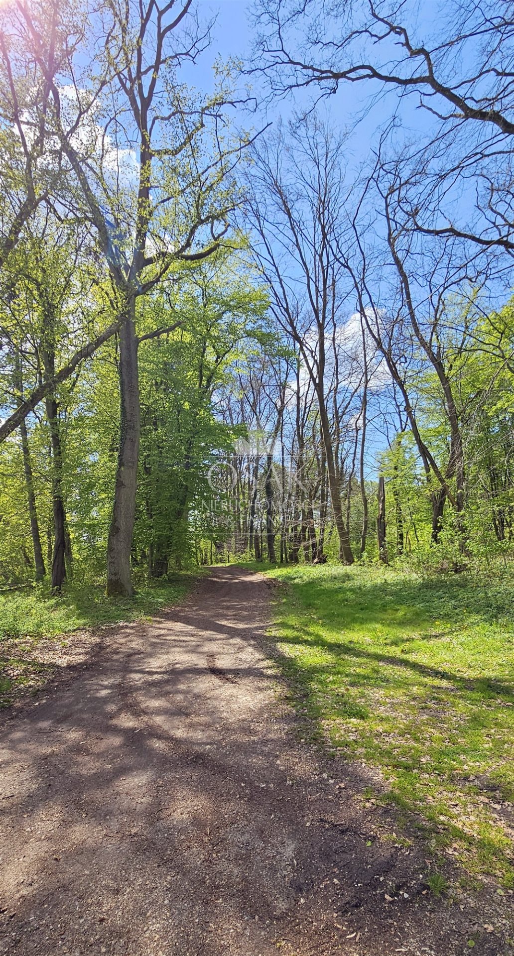 Na sprzedaż pięknie położona działka - Żerzyno  (7)