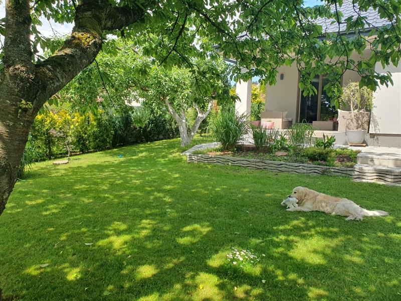 Dom wolnostojący - Koszalin Wilkowo (15)