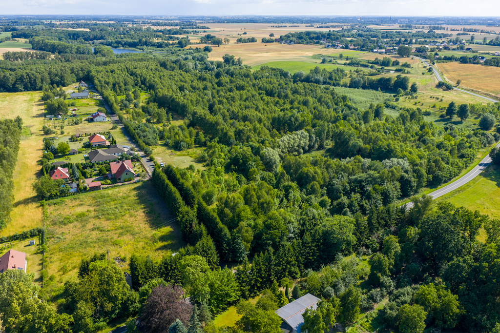 Sprzedam 8 działek budowlanych w Grabowie 45 zł/m2 (2)