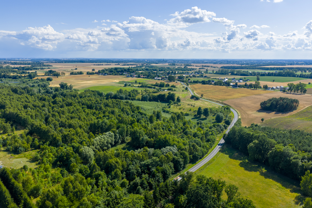 Sprzedam 8 działek budowlanych w Grabowie 45 zł/m2 (6)