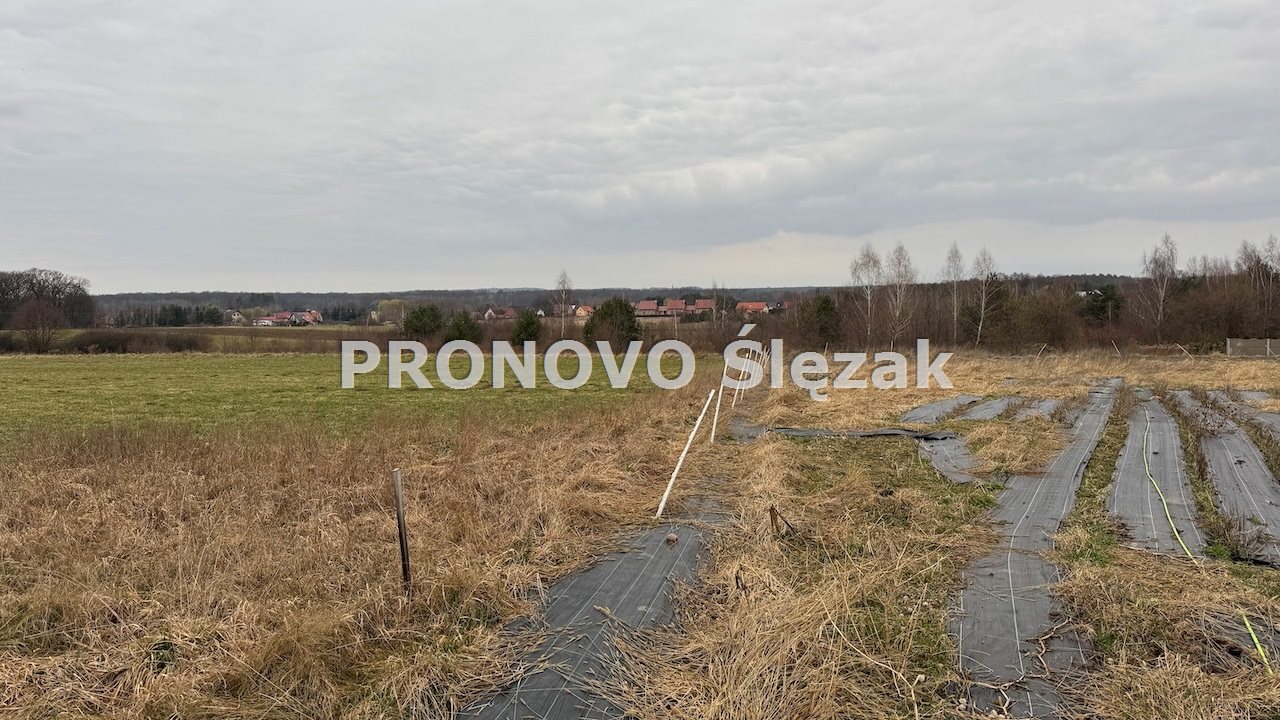 Działka 7000 m², Osolin k. Obornik Śląskich (2)