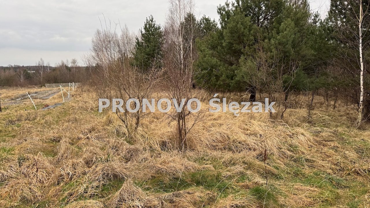 Działka 7000 m², Osolin k. Obornik Śląskich (3)