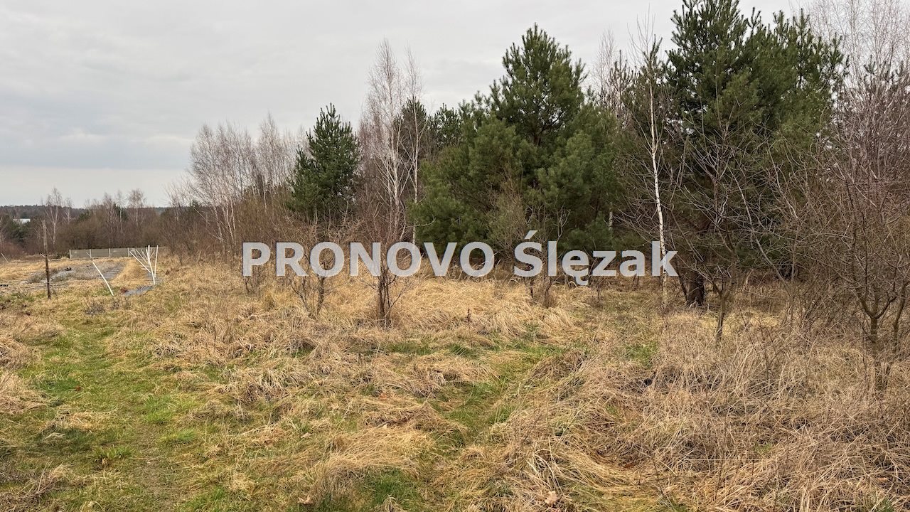 Działka 7000 m², Osolin k. Obornik Śląskich (4)