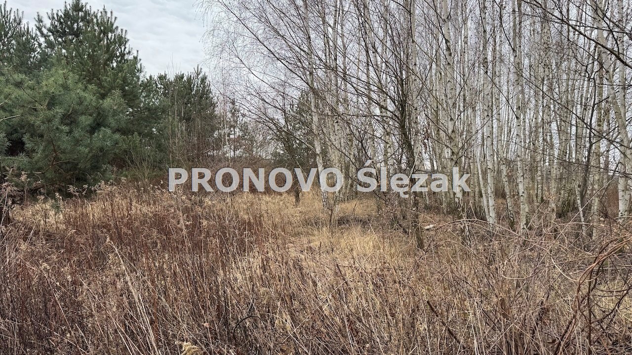 Działka 7000 m², Osolin k. Obornik Śląskich (5)