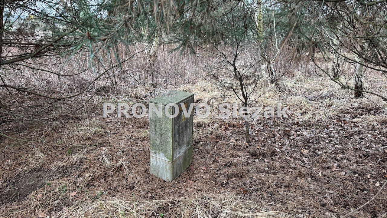 Działka 7000 m², Osolin k. Obornik Śląskich (6)