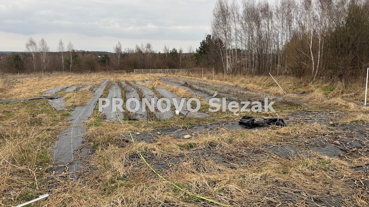 Działka 7000 m², Osolin k. Obornik Śląskich (7)