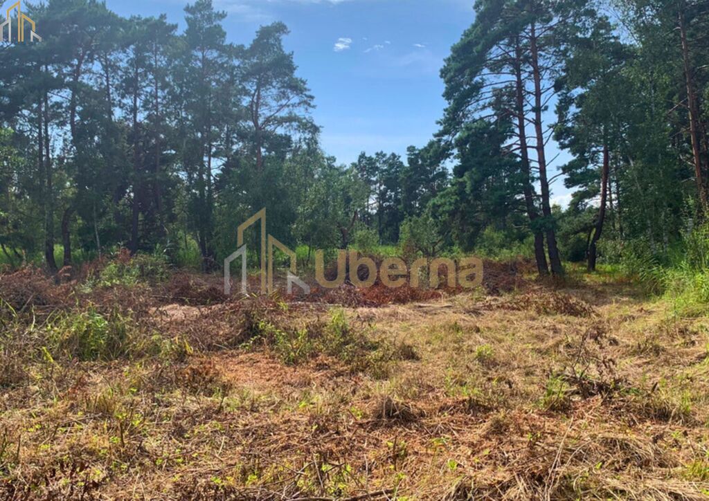 Działka nad morzem (2)