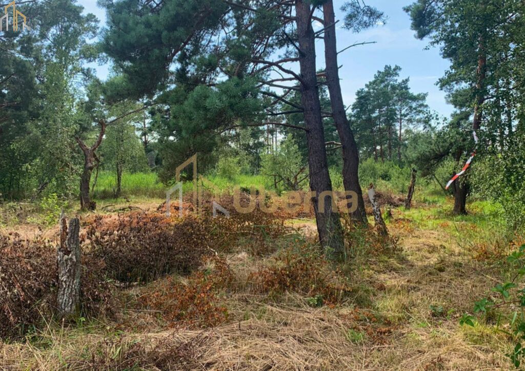 Działka nad morzem (6)