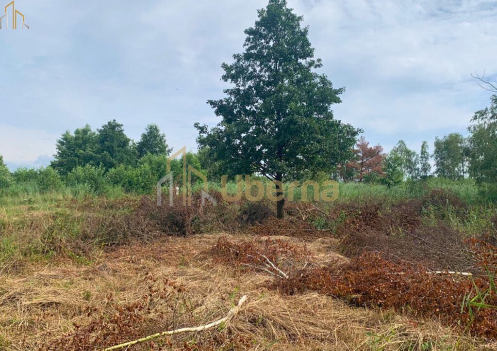 Działka nad morzem (7)