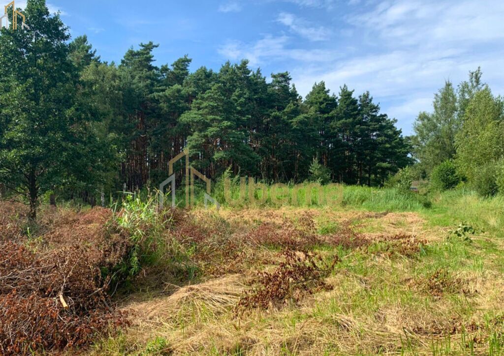 Działka nad morzem (8)